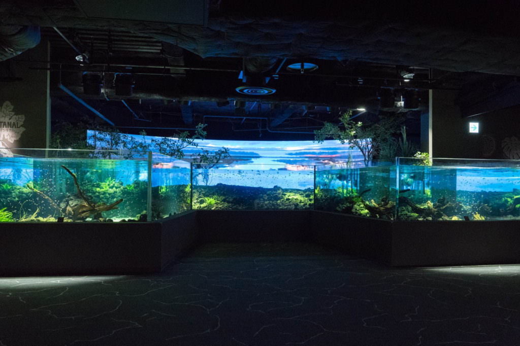 Kawasaki Aquarium 