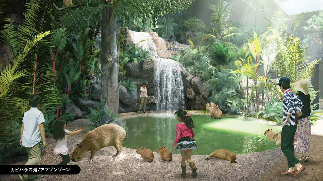 Kawasaki Aquarium : โซนคาปิบารา