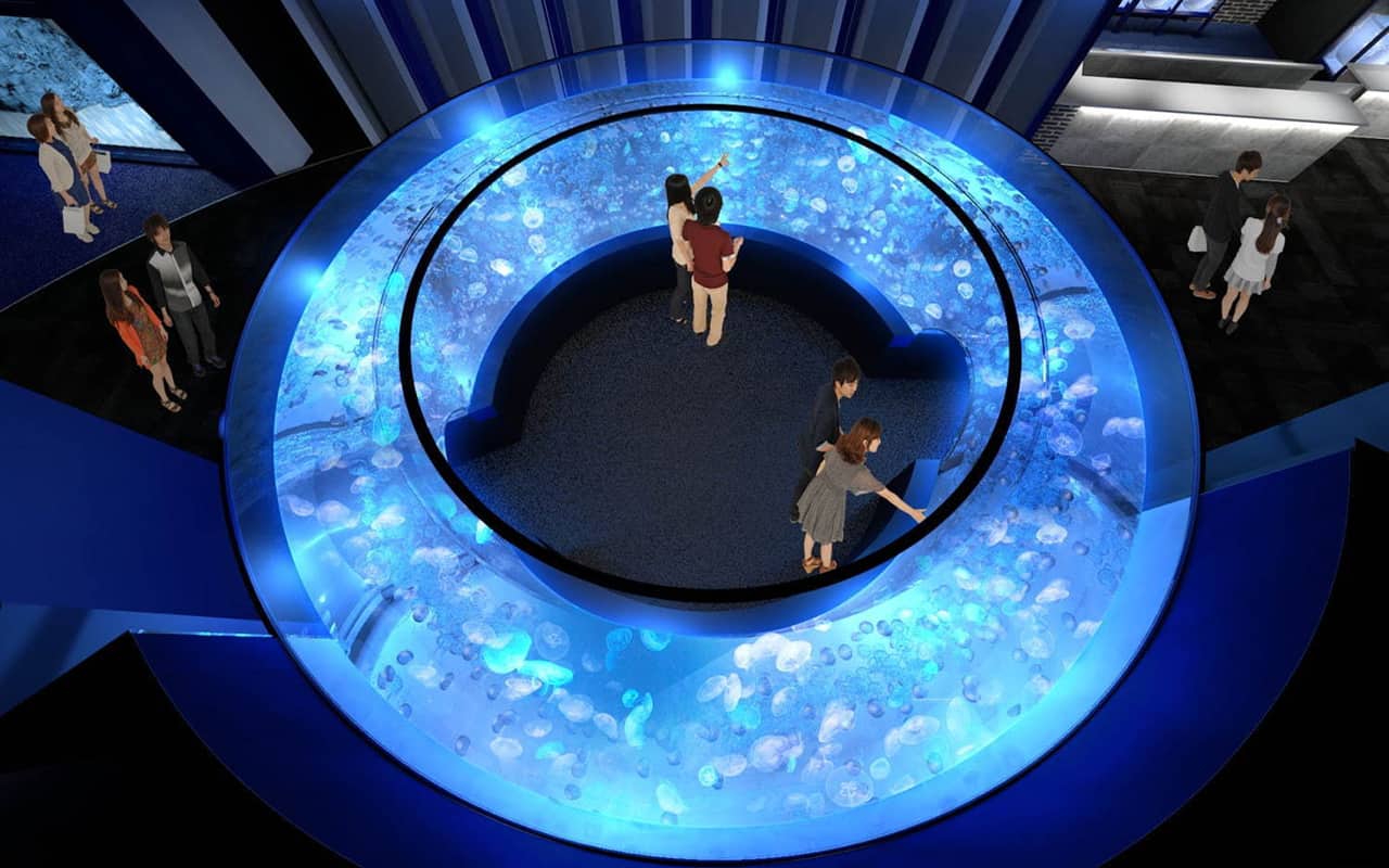 GURURI อุโมงค์โค้งที่มีแมงกะพรุนพระจันทร์มากถึง 1,500 ชีวิต ภายใน Kyoto Aquarium