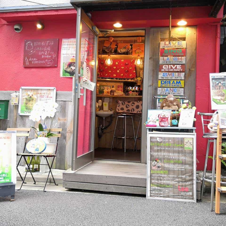 คาเฟ่เม่นแคระ (Hedgehog Cafe) ใน โตเกียว : Harinezumi ya Potta