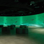 Kawasaki Aquarium : โซน Interactive ที่ฉายภาพจำลองสิ่งมีชีวิตใต้น้ำเสมือนจริง