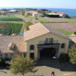 75496040_1259804287556137_6819480713889316864_o