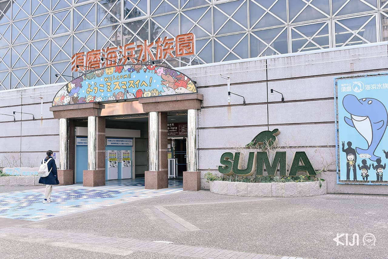 Suma Aqualife Park พิพิธภัณฑ์สัตว์น้ำย่านชานเมืองโกเบ