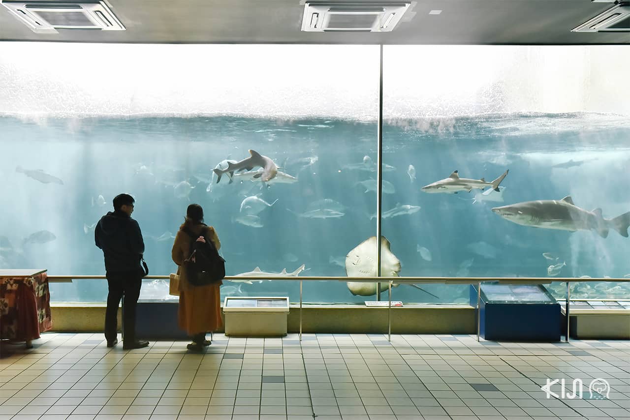 บรรยากาศภายใน Suma Aqualife Park