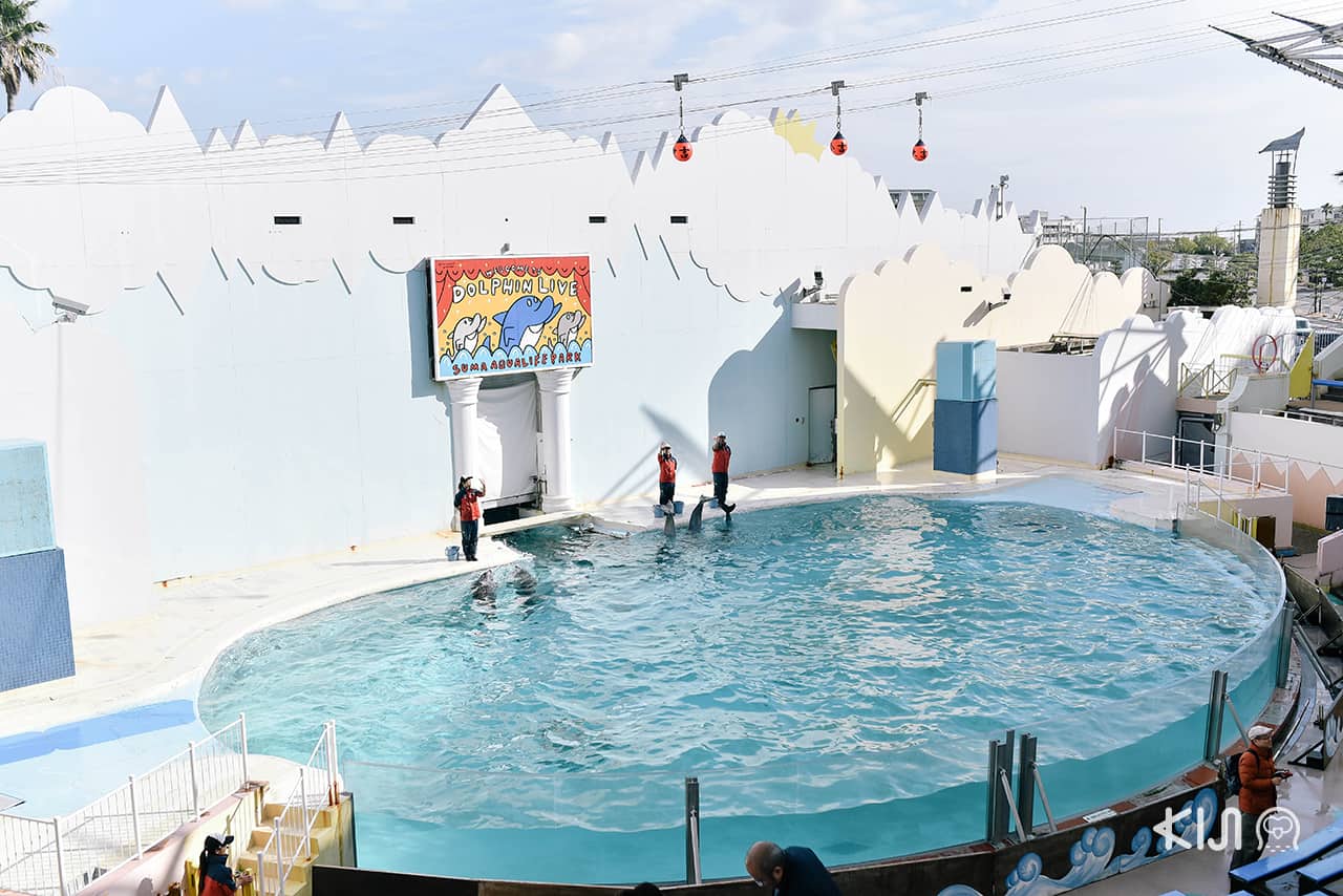 บรรยากาศภายในโซนโลมาใน Suma Aqualife Park