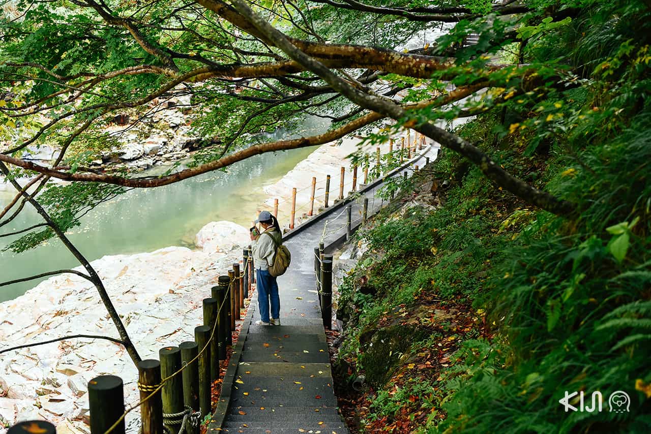 โอยาสุเคียวไดฟุนโตะ (Oyasukyo Daifunto)