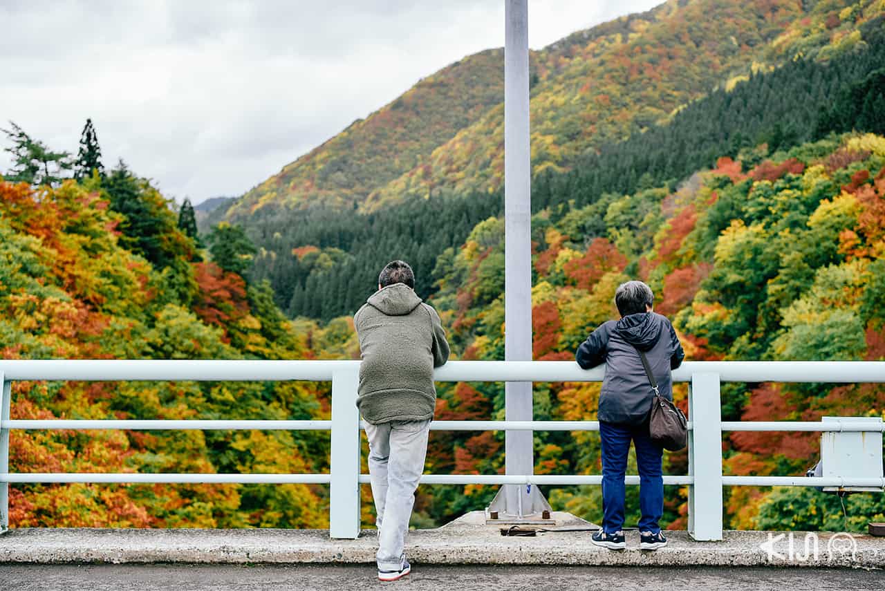 ชมวิวหุบเขาโอยาสุ (Oyasu Valley) บนสะพานแดงคาวารายุ