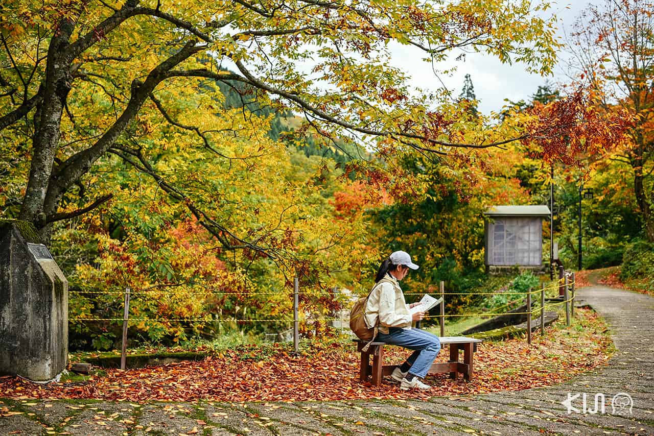 โอยาสุเคียว (Oyasukyo)