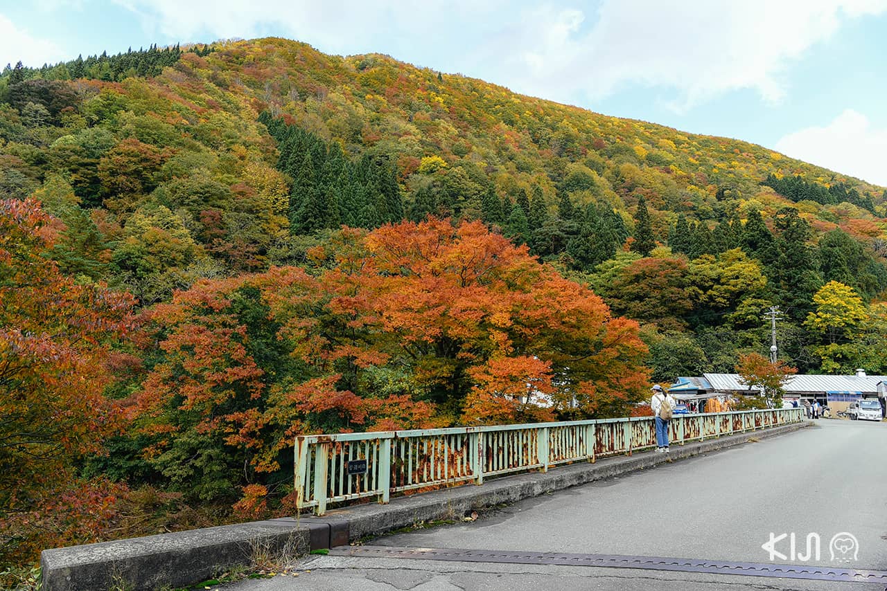 หุบเขาโอยาสุ (Oyasu Valley) จังหวัดอาคิตะ