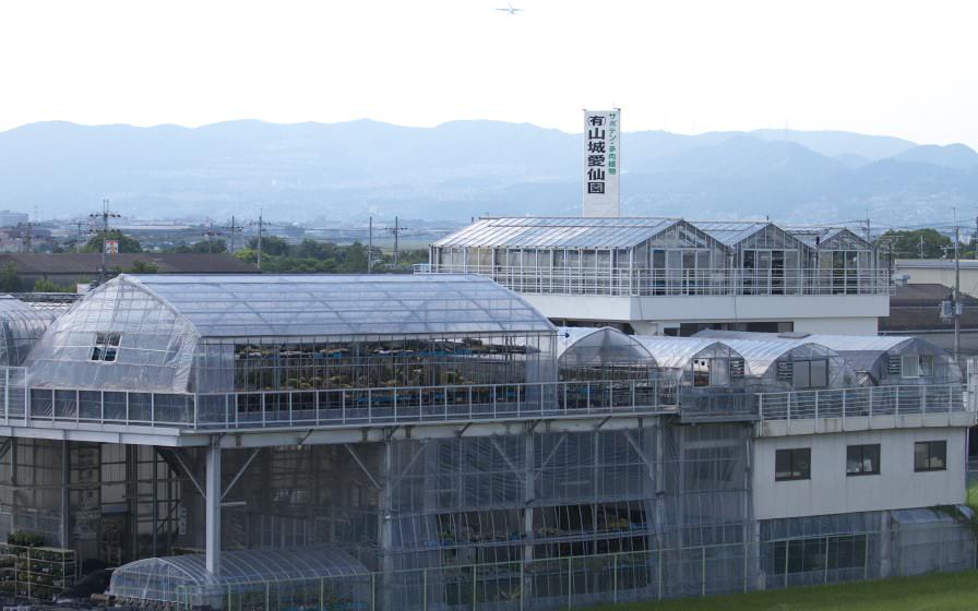 แคคตัสในญี่ปุ่น : ไอเซ็นเอ็น (Aisen-en) โอซาก้า