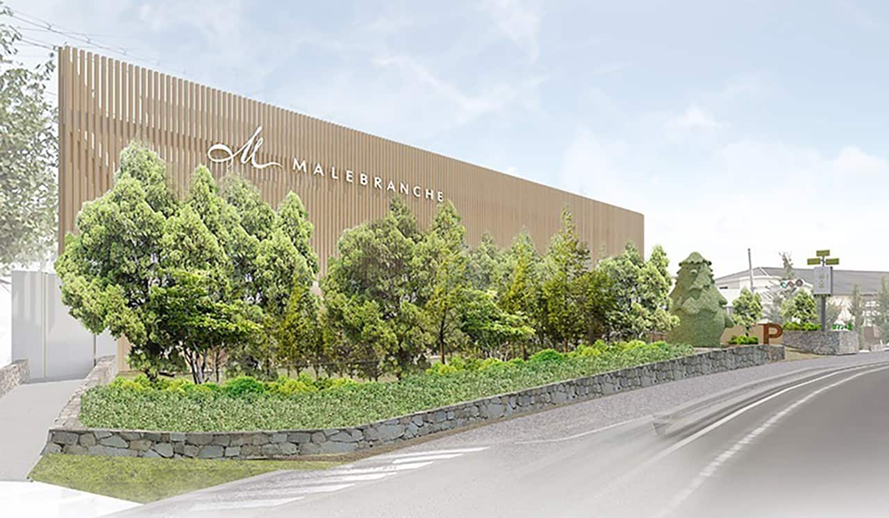 Forest of Malebranche Romance