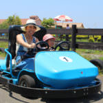 img_main_gokart