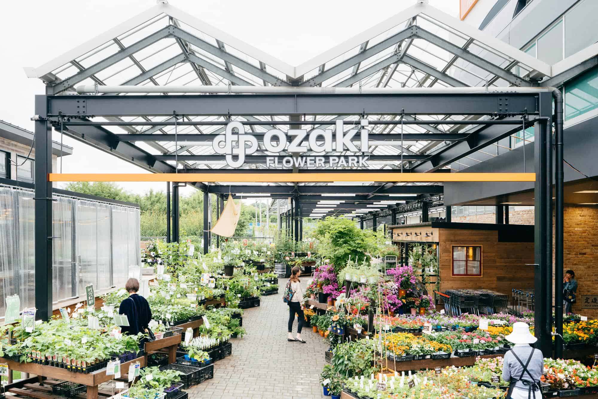 แคคตัสในญี่ปุ่น : โอซากิ ฟลาวเวอร์ พาร์ค (Ozaki Flower Park) โตเกียว