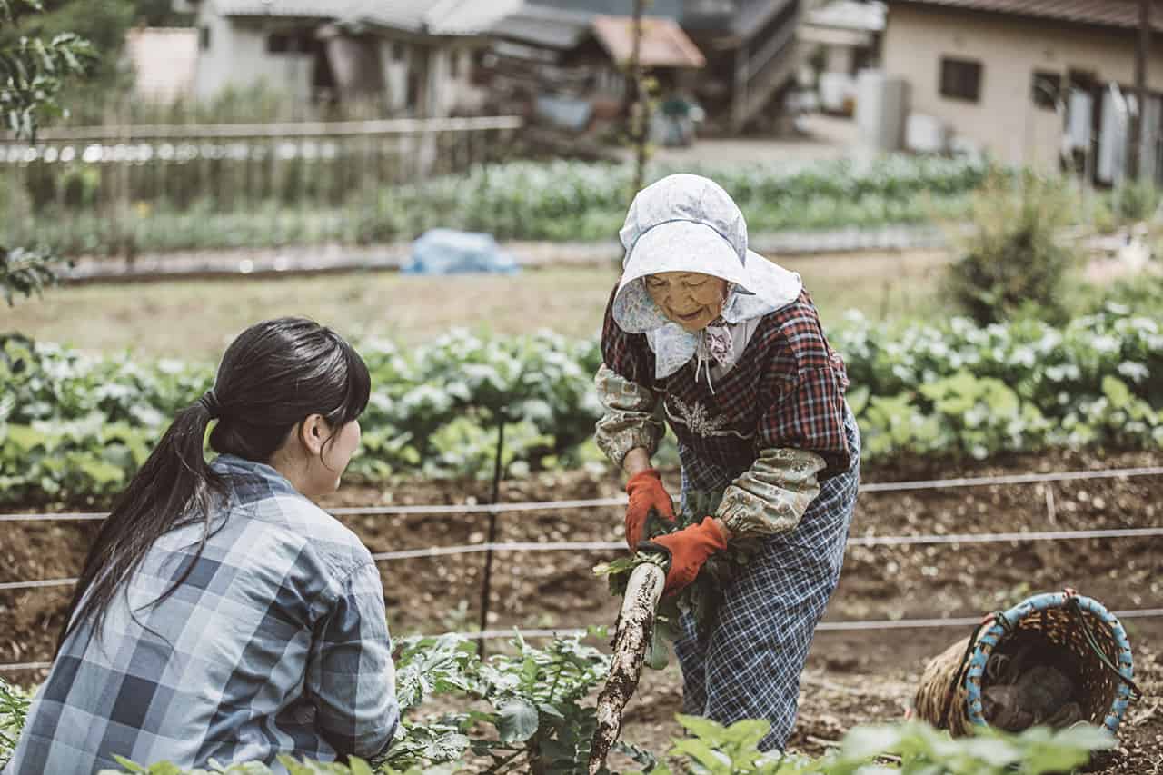 NIPPONIA Kosuge Village สามารถเพลิดเพลินกับการทำอาหารท้องถิ่นได้