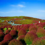 12087053_1092597620773941_7509122706717870454_o