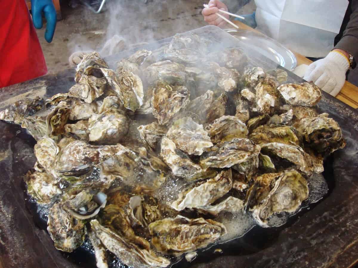 หอยนางรมย่าง ของอร่อยขึ้นชื่อในเมืองมัตสึชิมะ (Matsushima)