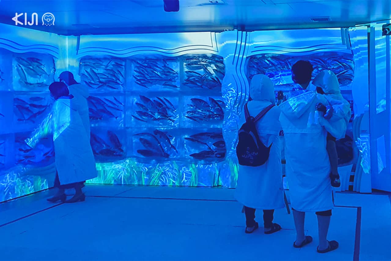 ที่เที่ยวตามเส้นทางของรถไฟ POKÉMON with YOU Train - Ice Aquarium