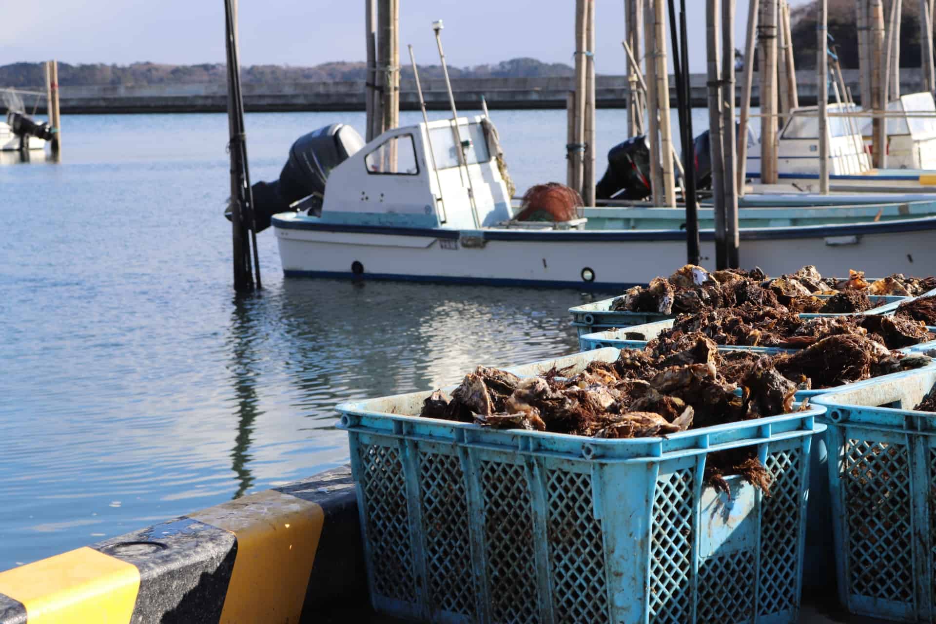 อ่าวมัตสึชิมะ (Matsushima Bay) จังหวัดมิยากิ