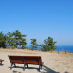 606c7936ca9448176d4f15400ba6e0b9