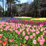 902687_570674699632905_318430706_o