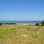 990e0bcec8f750ca4adf5632319eac1e-1024×680