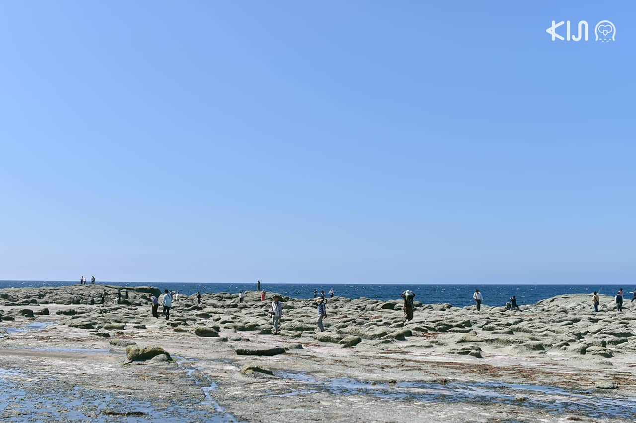 จุดถ่ายรูปตามเส้นทางเดินรถไฟขบวน Resort Shirakami - สถานี Senjojiki