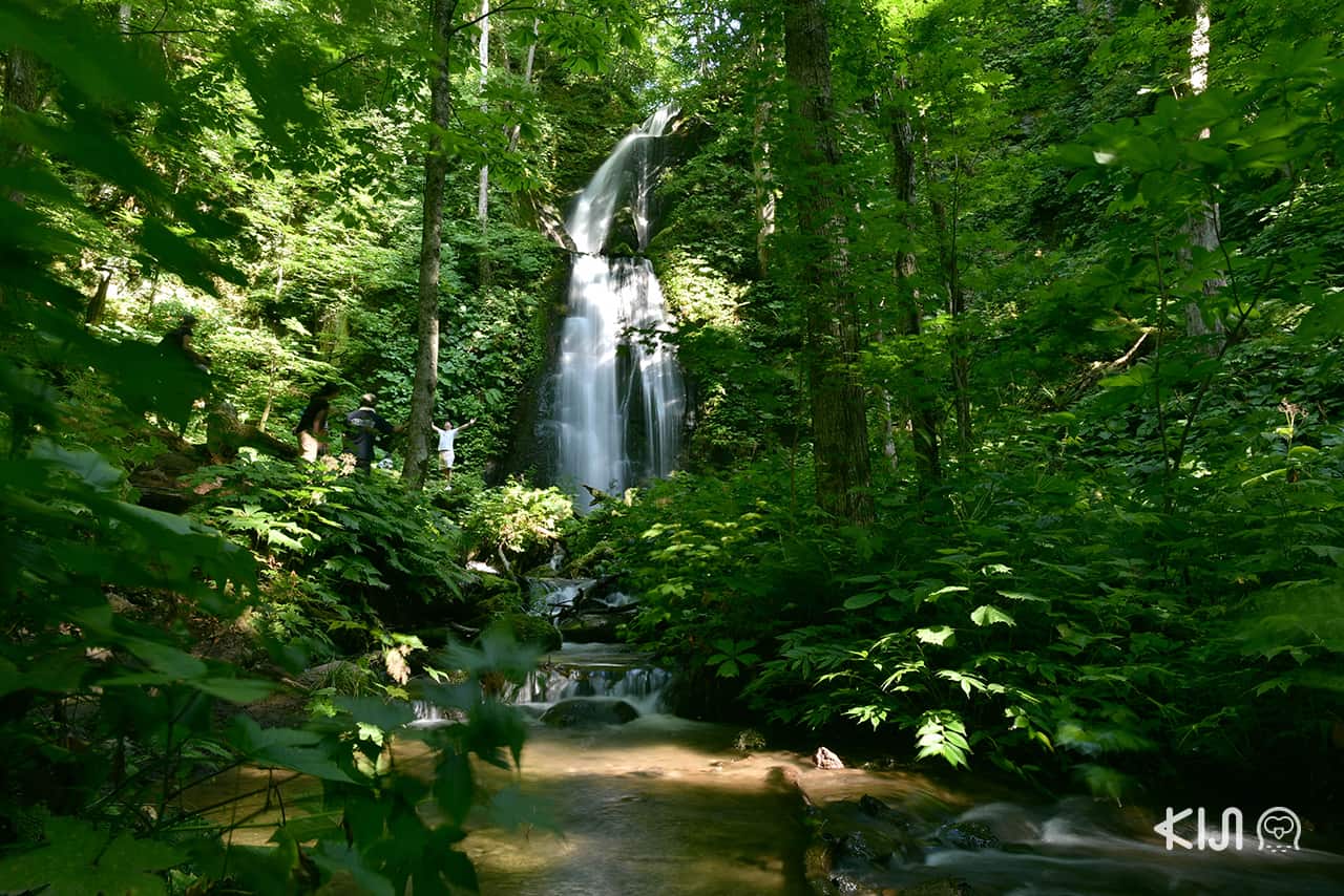 เที่ยว 3 จังหวัดในโทโฮคุตอนเหนือ (อาโอโมริ อิวาเตะ และ อาคิตะ) ด้วยบัตรโดยสาร JR East Pass - Oirase ที่เที่ยวตามเส้นทางเดินรถไฟขบวน TOHOKU EMOTIO