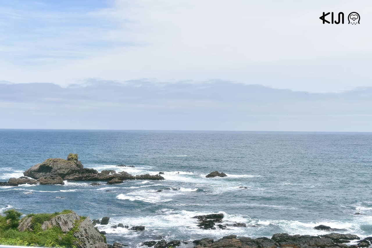 นั่งรถไฟขบวน Tohoku Emotion เที่ยว อาโอโมริ อิวาเตะ อาคิตะ ด้วยบัตรโดยสาร JR East Pass (Tohoku)