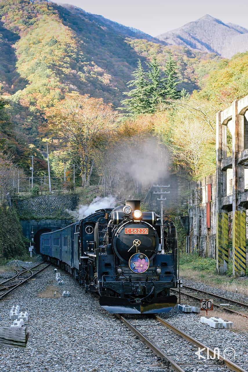 เที่ยว 3 จังหวัดในโทโฮคุตอนเหนือ (อาโอโมริ อิวาเตะ และ อาคิตะ) ด้วยบัตรโดยสาร JR East Pass - จุดถ่ายรูปตามเส้นทางของขบวนรถไฟ SL Ginga สถานี Rikuchu Ohashi