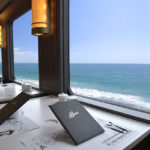 Tohoku Emotion Interior 1 (Window View)