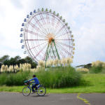 ce953cdf72f422909eea9a8acb5d4100