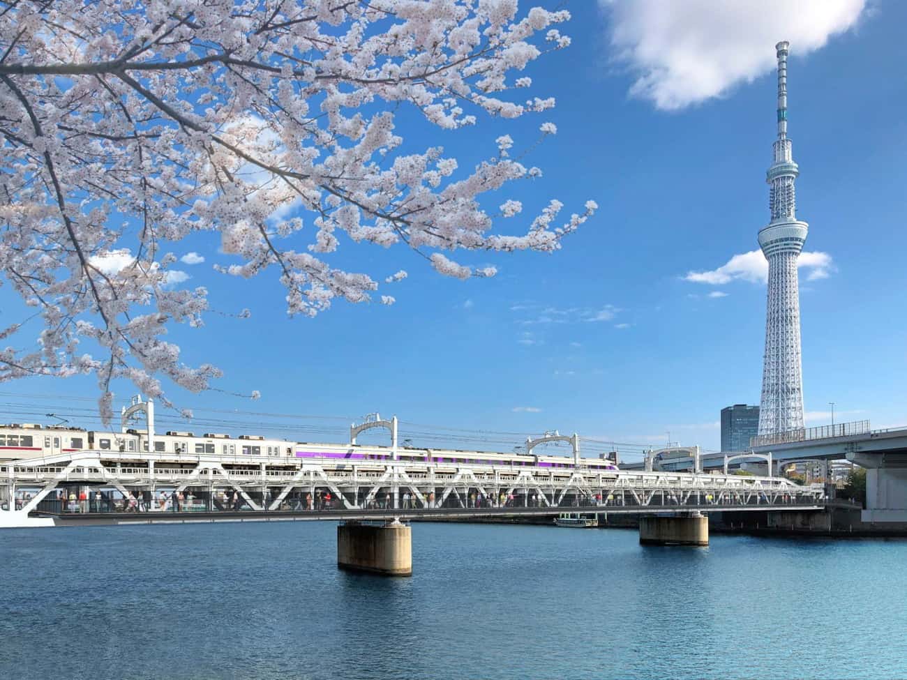 TOKYO Mizumachi ตั้งอยู่เลียบแม่น้ำสุมิดะ (Sumida River) ในกรุงโตเกียว