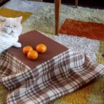 w1200 – 2025-09-26T111431.770