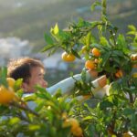 w1200 – 2025-09-26T111442.008