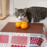 w1200 – 2025-09-26T111444.334