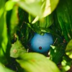 w1200 – 2025-09-26T103022.217