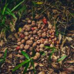 w1200 – 2025-09-26T103031.714