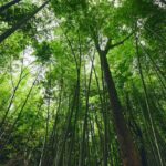 w1200 – 2025-09-26T103033.800