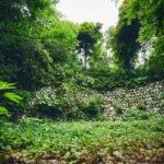 w1200 – 2025-09-26T103035.876