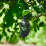 w1200 – 2025-09-26T103038.088