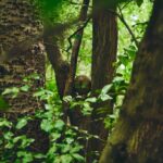 w1200 – 2025-09-26T103040.198