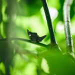 w1200 – 2025-09-26T103044.654