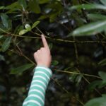 w1200 – 2025-09-26T103046.715