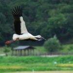 w1200 – 2025-09-26T104530.684