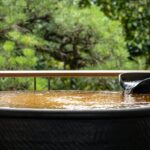 w1200 – 2025-09-25T105831.337