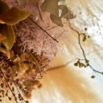 w1200 – 2025-09-25T103711.952