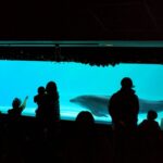 w1200 – 2025-09-23T173921.546