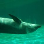 w1200 – 2025-09-23T173923.570