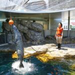 w1200 – 2025-09-23T173925.739