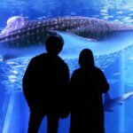 w1200 – 2025-09-23T174022.328